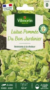 Laitue Pommée du Bon Jardinier